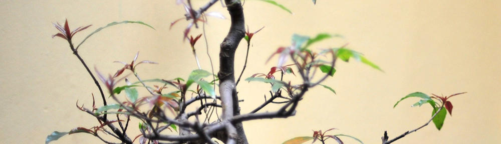 懐かしワードBOT